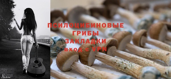 прущие грибы Баксан