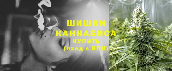 PSILOCYBIN Балабаново