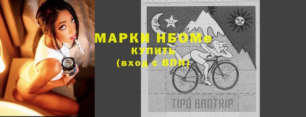 прущие грибы Баксан