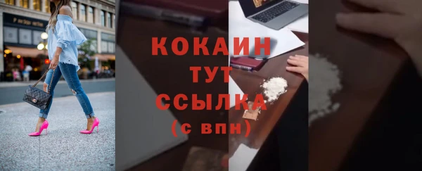 прущие грибы Баксан