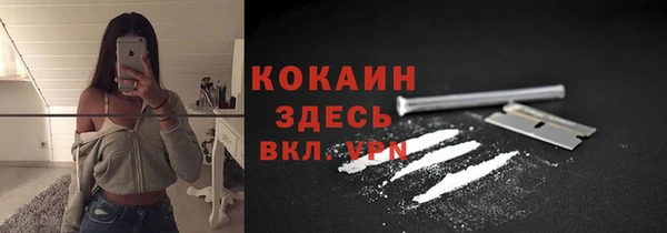 PSILOCYBIN Балабаново