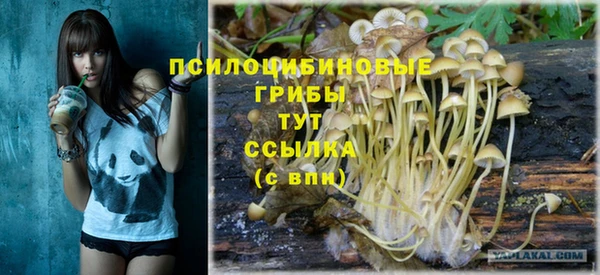 прущие грибы Баксан