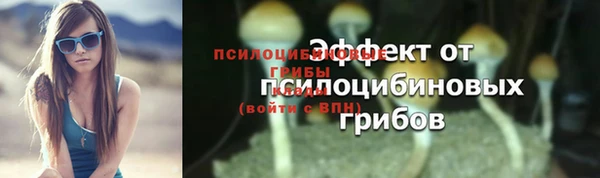 прущие грибы Баксан