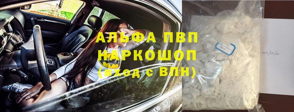 прущие грибы Баксан