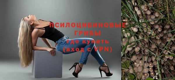 прущие грибы Баксан