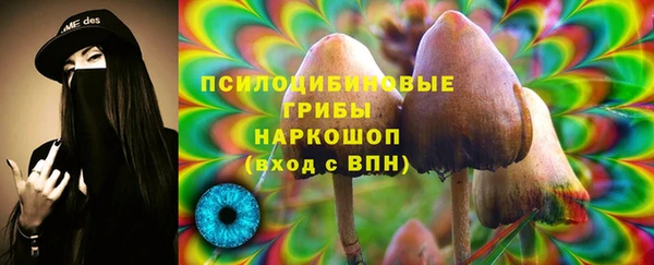 PSILOCYBIN Балабаново