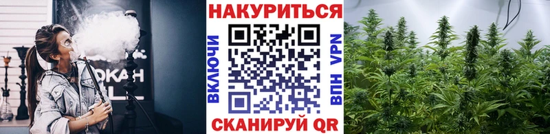 закладки  Лесозаводск  omg ссылка  Конопля Bruce Banner 